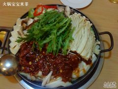 八爪鱼牛肉锅-东吉馆韩式餐厅(八经街总店)