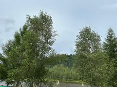-汤旺河林海奇石景区