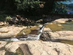 -广州白江湖森林公园