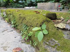-广州市白云山风景名胜区