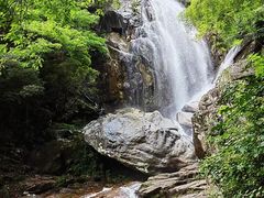 -大围山国家森林公园