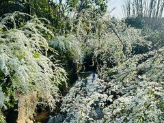 -中国茶叶博物馆(双峰馆区)