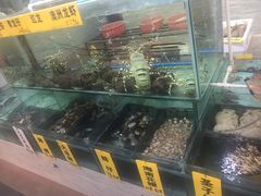 -寻味顺德·南记酒家·传统顺德菜·鱼生(广源路店)