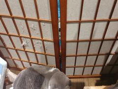 -解忧集市(北京路天河城店)