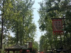 -合肥滨湖国家森林公园