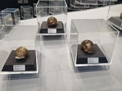 -北京周口店北京人遗址博物馆