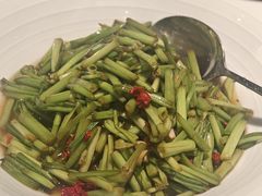 豆辣水芹菜-火候轩品质湘菜·私厨(市府店)