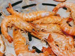 -半岛听涛蒸汽海鲜自助(K11店)