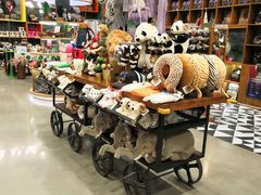 -Behring World of Animals(上海自然博物馆店)