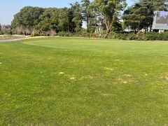 -银涛高尔夫练习场(徐泾店)