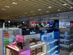 -上海浦东国际机场-T2航站楼