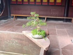 -峨眉山报国寺
