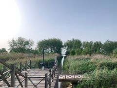 -鱼嘴湿地公园