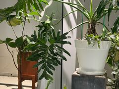 -一尺花园(安和花园店)