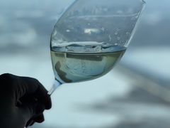 -大堂酒廊·富力丽思卡尔顿酒店