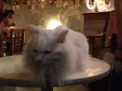 -Babycat私家御饼屋(龙头路一店)