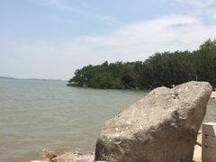 -宝安西湾红树林湿地公园