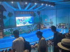 -石家庄极地海洋世界