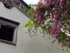 -深圳国际园林花卉博览园