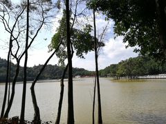 -西樵山风景名胜区-天湖公园