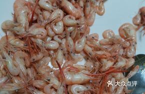 River Shrimp