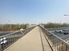 -大望京公园