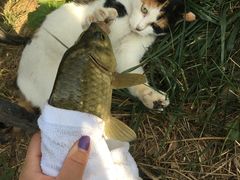 -酷鱼垂钓CLUB(朝阳区博大路店 )