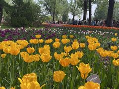 -国家植物园南园