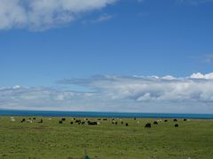 -青海湖国家重点风景名胜区