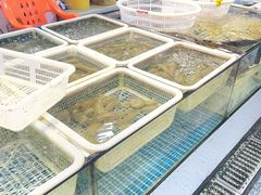 -先锋海鲜市场