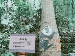 -呀路古热带植物园