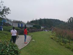 -铁山坪森林公园