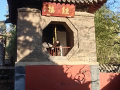 -泰山风景名胜区-普照寺