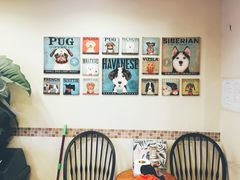 -多卡布奇宠物生活馆(上林世家店)