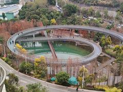 -福道