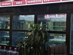 -點無缺茶楼·海鲜酒家(世博店)