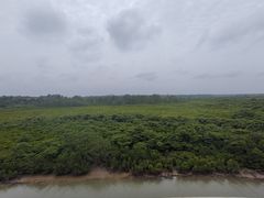 -东寨港红树林旅游区