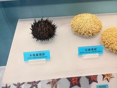 -天津自然博物馆