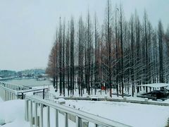 -紫金山天文台
