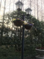 -虹桥迎宾馆·宴会厅