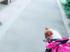-美兰湖景区