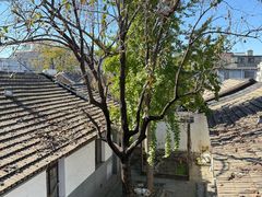 -自如ZSPACE四合院艺术餐厅