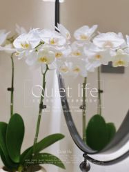 -琴美美容美发·三美会所