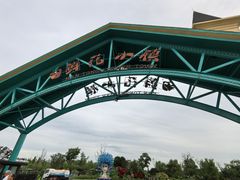 -南通鲜花小镇