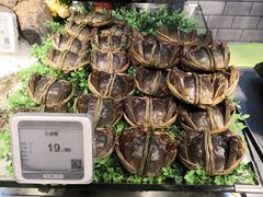 -超级物种(省府店)