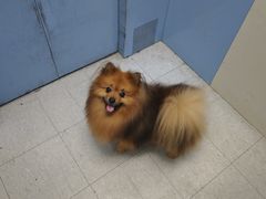 -沐沐家宠物(成寿寺店)