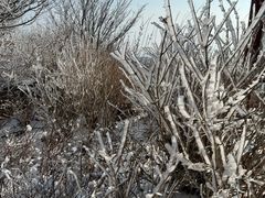 -崂山巨峰游览区