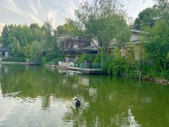 -春晖园度假酒店温泉