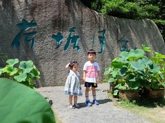 -荷塘月色湿地公园·向阳花洲