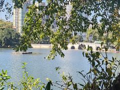 -荔湾湖公园